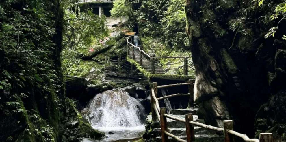 Ailao Mountain_Yunnan_China_2025