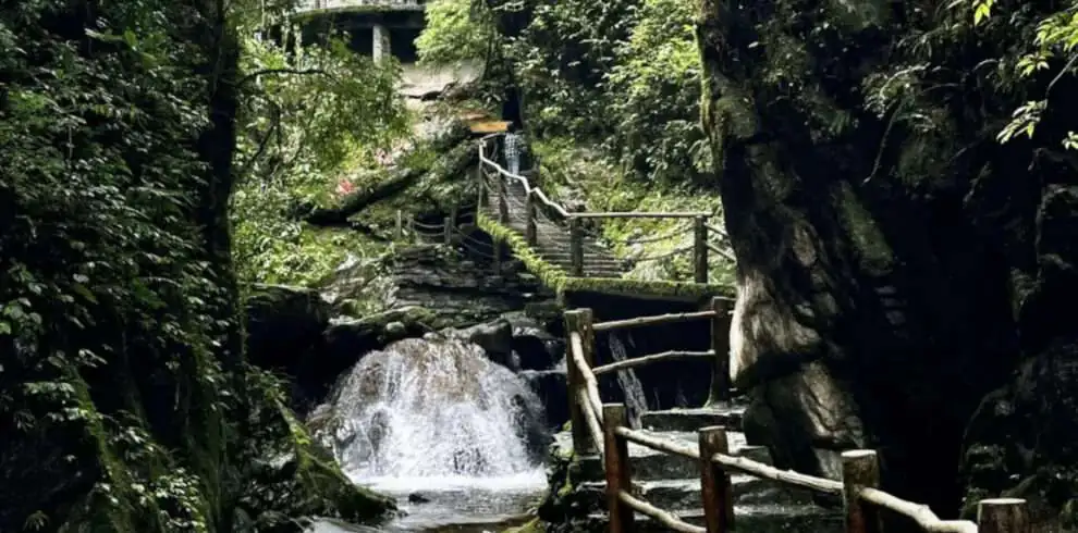 Ailao Mountain_Yunnan_China_2025