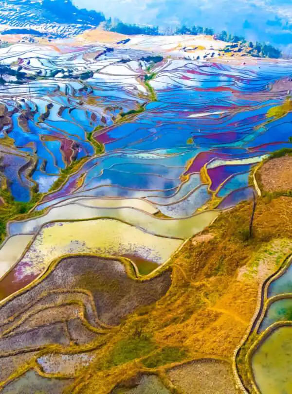 Yuanyang_yunnan_2025