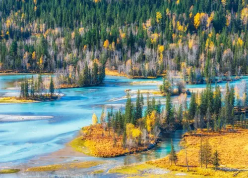 The Grassland Sanctuaries of Northern Xinjiang: 7-Day A Nalati & Ku’erdening Immersion