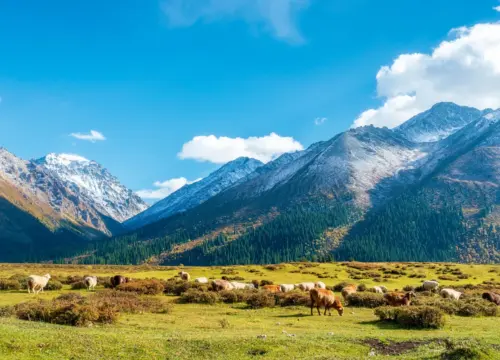 Xinjiang’s Northern Loop: 10-Day A Highland & Grassland Odyssey