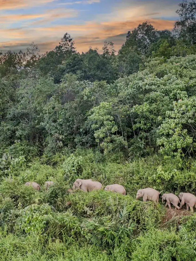 Home 21 Rainforest Eco-Exploration