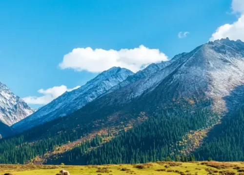 The Grassland Sanctuaries of Northern Xinjiang: 7-Day A Nalati & Ku’erdening Immersion