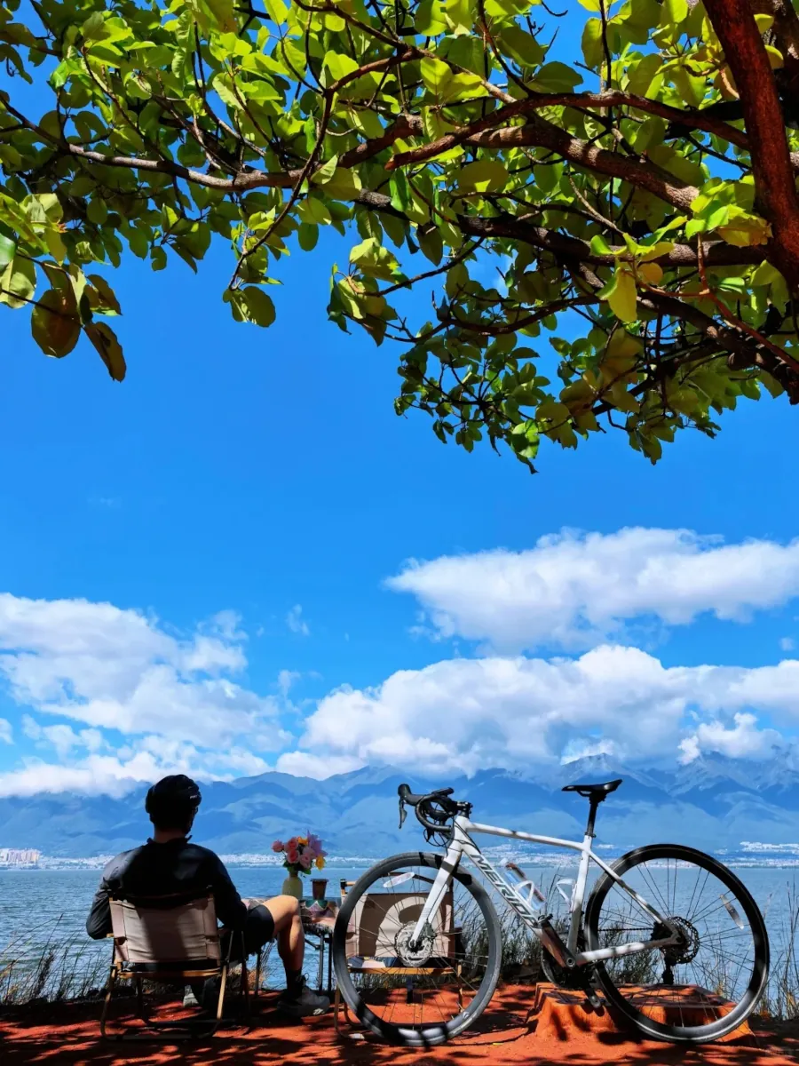 Home 20 Pastoral Scenery Cycling