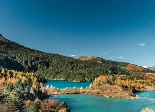 Shangri-La’s Last Frontier: 7-Day Niru Village & High Alpine Trek Expedition Lijiang-Niru Tour