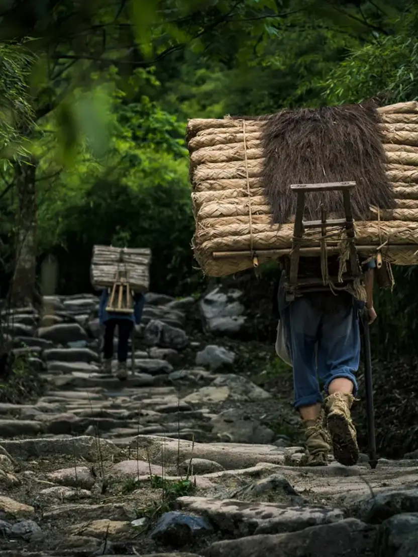 Home 12 Ancient Tea-Horse Road Trekking