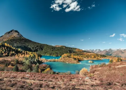 Shangri-La’s Last Frontier: 7-Day Niru Village & High Alpine Trek Expedition Lijiang-Niru Tour
