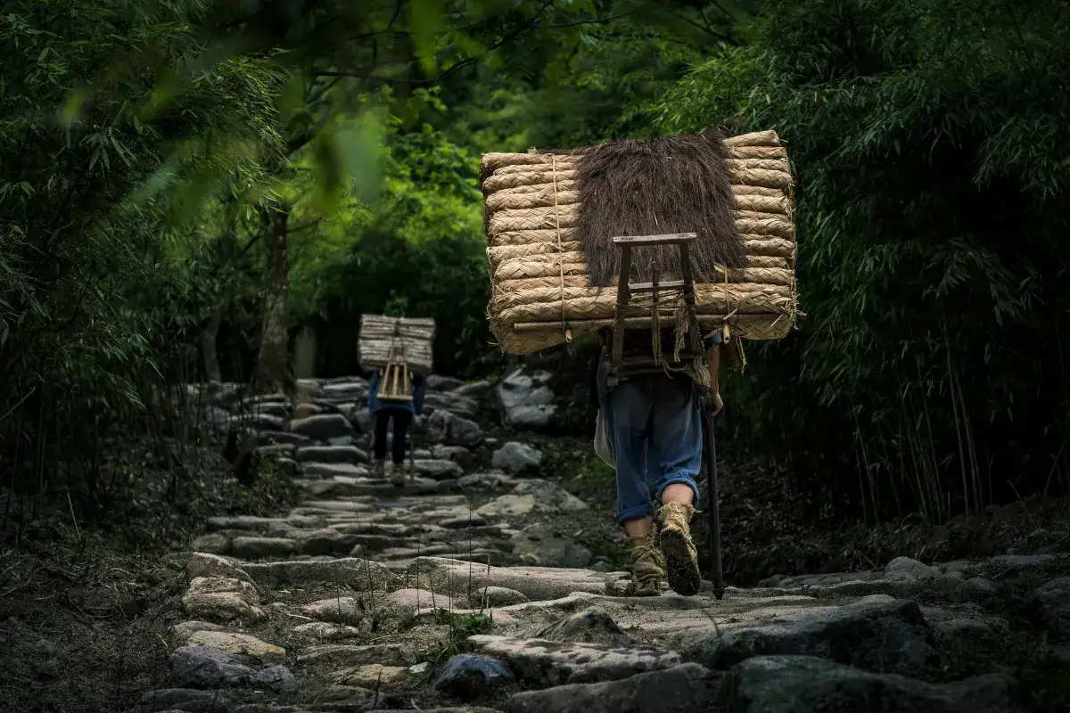 Ancient Tea-Horse Road Trekking