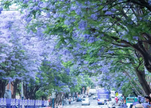 Country of Colorful Clouds: 6-Day Authentic Yunnan & Heritage Trail Kunming-Dali-Lijiang Tour